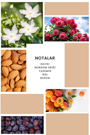 İxora B071 Ficry Kadın Parfüm 100 ml Edp