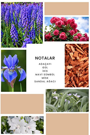 ixora Feel Kadın Parfüm B072