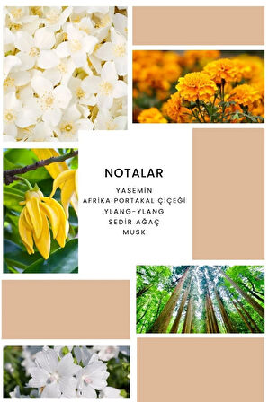 ixora Apex Kadın Parfüm B080