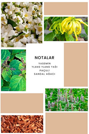 ixora Charm Kadın Parfüm B093