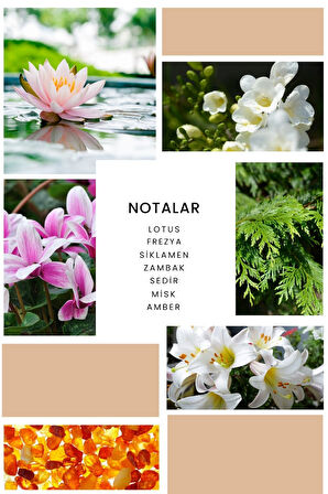 Ixora K110 Desing Edp Kadın Parfüm 50 ml