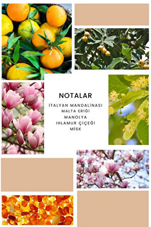 B125 Wilma Kadın Parfüm 50ml