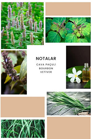 B129 Baffing Kadın Parfüm 100 ml Edp