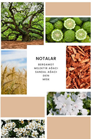 B139 Pink Baby Edp 50 ml Kadın Parfüm 8680136602686