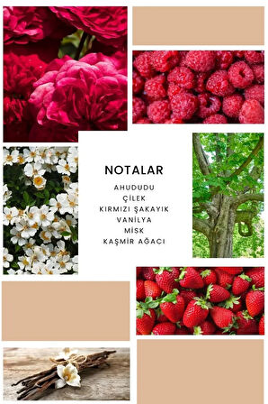 ixora Cool Lady Kadın Parfüm B187