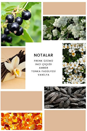 ixora Beauty Kadın Parfüm B218