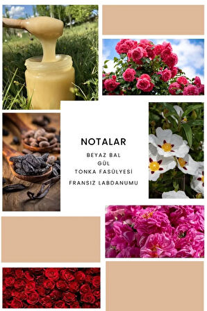 B231 Soft Edp 50 ml Kadın Parfüm 8680136604307