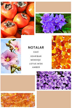 B234 Pretty Kadın Parfüm 100 ml Edp