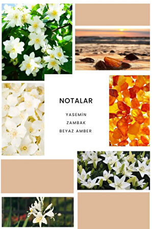 B236 Aristone Kadın Parfüm 50ml