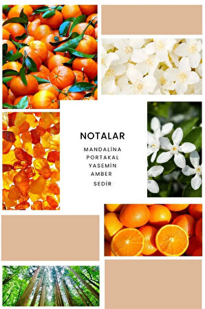 B284 Fantastic Kadın Parfüm 50ml