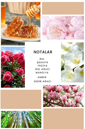 K294 Rose Kadın Parfümü 50 ml Edp