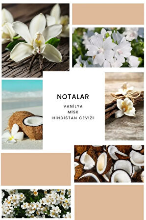 B298 Sweety Kadın Edp 100ml