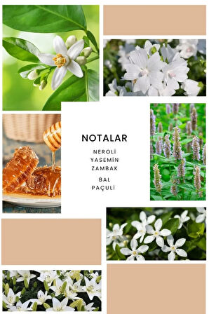 B303 Vetrina Kadın Parfüm 50ml