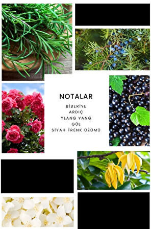 Glee E001 Edp 50 ml Erkek Parfüm 8680136610032