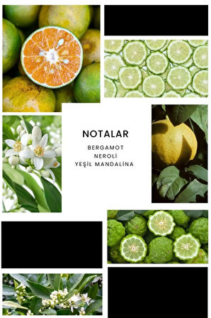 E008 Lucky Man Erkek Parfüm 100 ml Edp