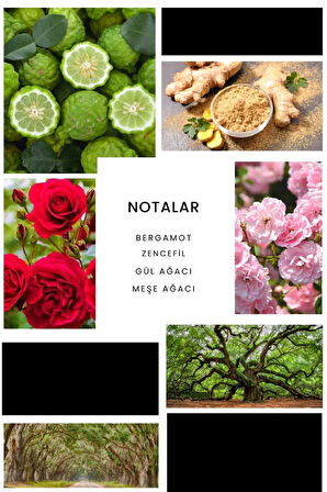 E028 Entrica Erkek Parfüm 50 ml Edp