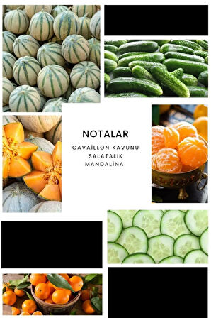 E031 Anticor Erkek Parfüm 100 ml Edp