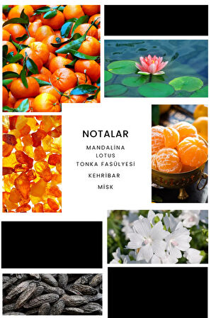 E035 Puzzle Erkek Parfüm 50ml