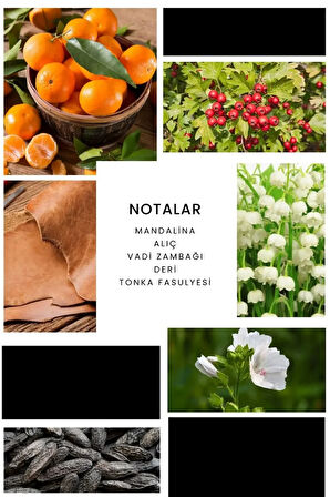 Dark Gothic Edp 50ml Erkek Parfüm E048