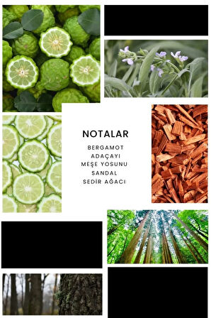 Goa Edp 50ml Erkek Parfüm E062