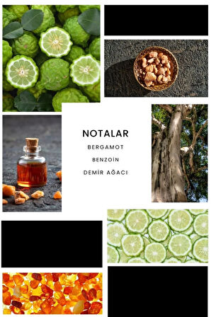 E091 Fire Edp 50 ml Erkek Parfüm 8680136611893