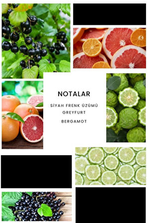 ixora Boom Erkek Parfüm E153 - 100ml EDP