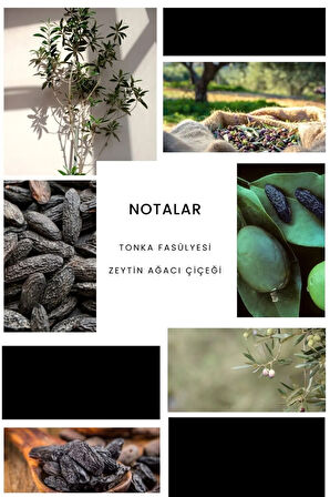 Black Day E163 Erkek Parfüm 50ml