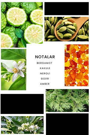 Track E200 Erkek Parfüm 50 ml Edp