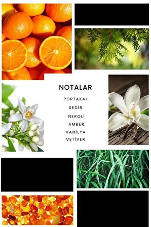 Sport Edp 100 ml Erkek Parfüm E211