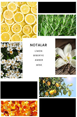 E224 Crome Erkek Parfüm 50 ml Edp