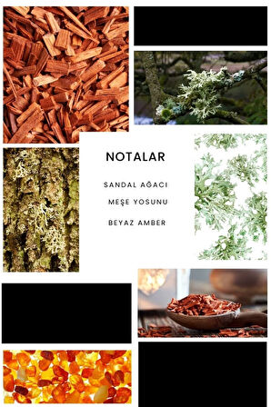 E227 W Edp 50 ml Erkek Parfümü 8680136615914