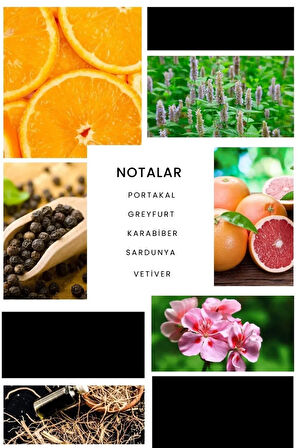 E241 Nippy Erkek Parfüm 100 ml Edp