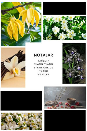 E243 Jackpot Erkek Parfüm 100 ml Edp