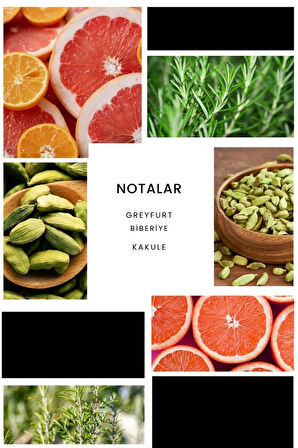 E246 Andreo Edp 50 ml  Erkek Parfüm 8680136617017