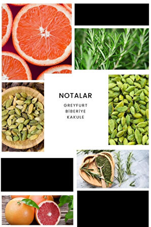 ixora Andreo Erkek Parfüm E246 - 100ml EDP