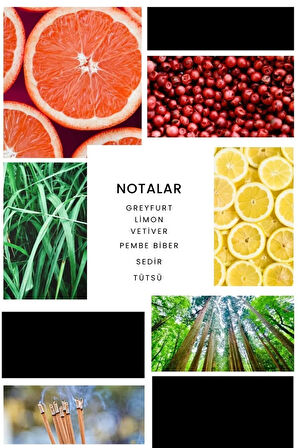 E247 Gallant Erkek Edp - 100ml