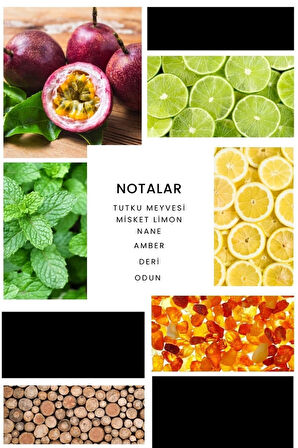 E248 Stunner Edp 50 ml Erkek Parfüm 8680136617116