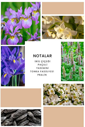 ixora Shine Kadın Parfüm B325