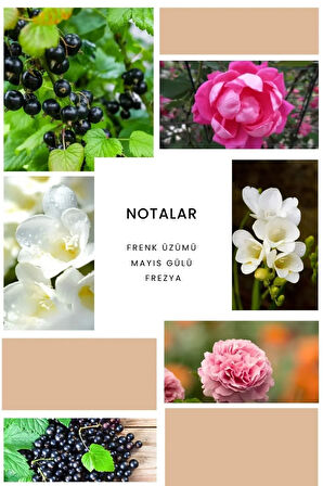 B334 Yes Kadın Parfüm 50ml