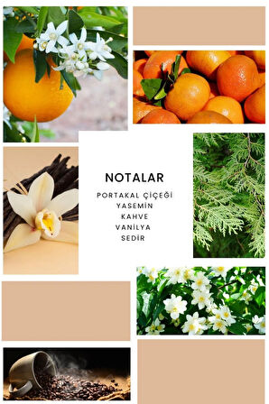 B336 Purple Kadın Edp 100 ml