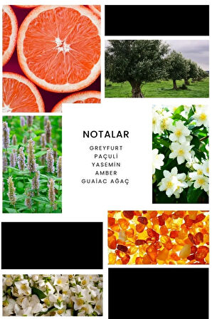 E252 Victory Erkek Parfüm 100 ml Edp