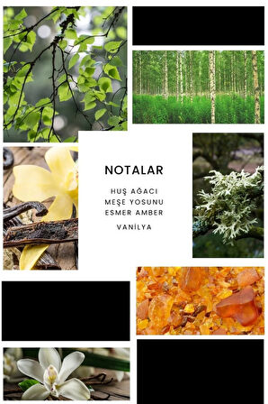 E262 Explore Erkek Parfüm Edp 100 ml