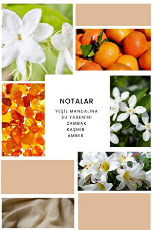 B347 Helen Kadın Edp 100ml