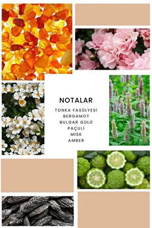 ixora Stiletto Kadın Parfüm B352