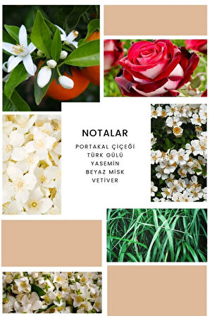 ixora Kadın Parfüm B196