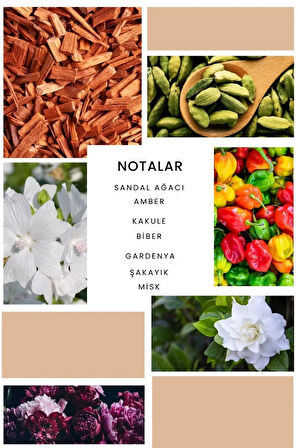 K359 Noir Kadın Parfüm 50 ml Edp