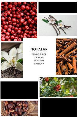 E276 Edp 100 ml Erkek Parfüm 8680136652841