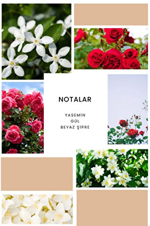 K363 Figure Kadın Parfüm 100 ml Edp