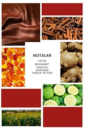 ixora Incerto Rosso Unisex Parfüm 100 ml EDP