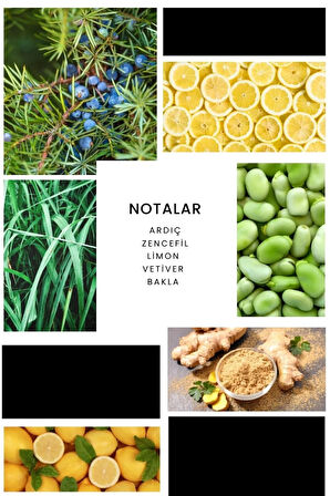 E286 Fonce Erkek Parfüm 100 ml Edp